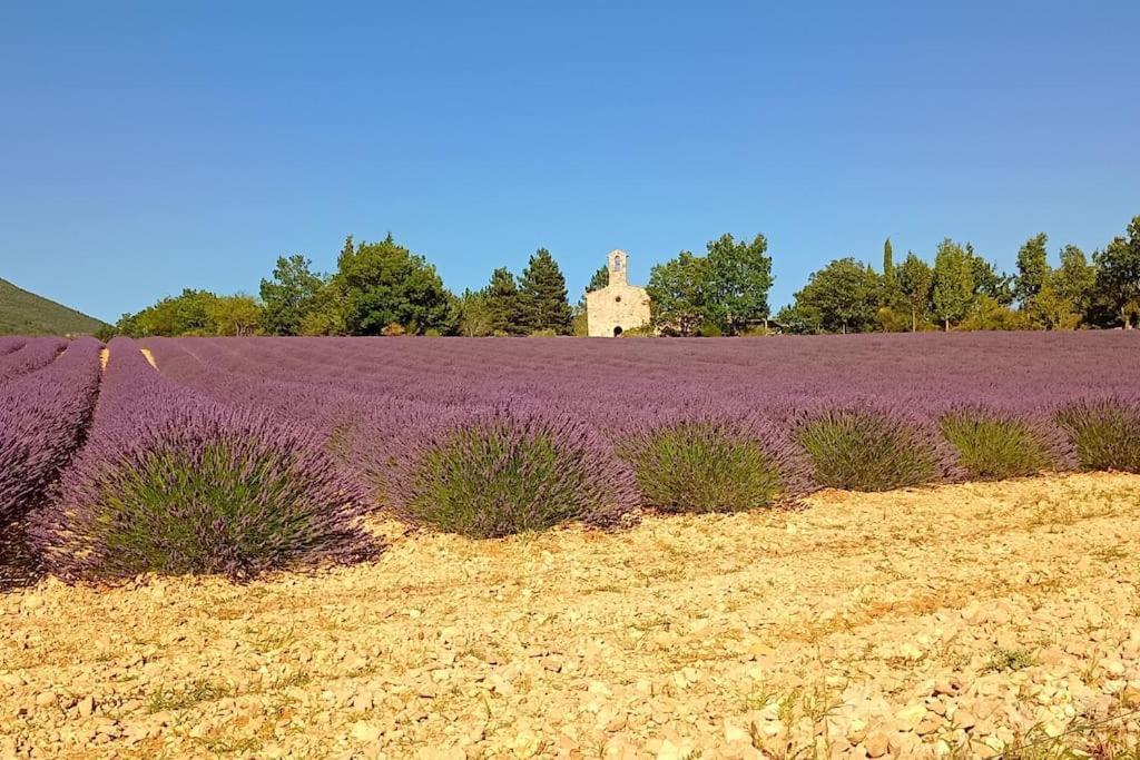 Le Mazet Sainte-Jalle, Piscine Chauffee, Jardin Clos, Barbecue En Baronnies Provencales Экстерьер фото